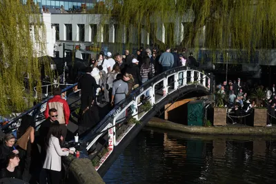 DSC_6838 (Large).JPG